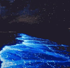 抖音获赞200w火遍大江南北的蓝眼泪这些地方居然都可以看到