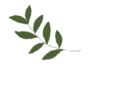 【关注】2023投资保定发展大会将于11月30日至12月1日在保举办！-小辉娱乐网