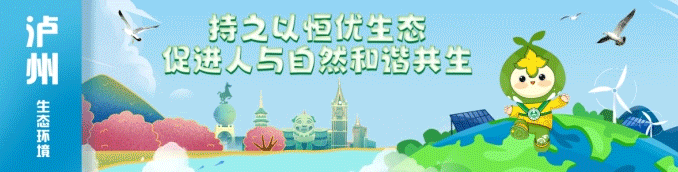 萌趣又正义！泸州警方救下麂鹿、猫头鹰、黑熊等多种野生动物