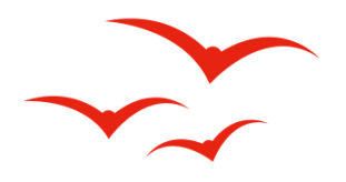 淮南地名故事①：天下第一塘——安丰塘-小辉娱乐网