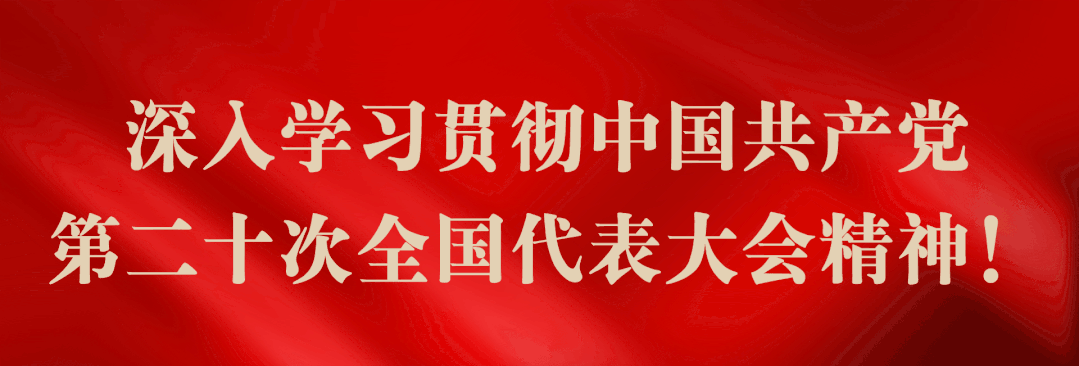 道坪镇：建强治理“小队伍”，更优服务“大民生”