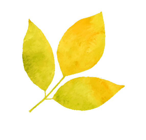 【杏园新课标·拾穗者】扬帆起航正当时，推门听课促成长