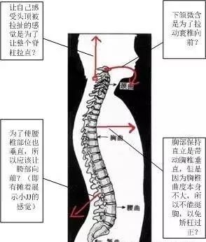 “百炼不如一站” 提升人体免疫力的站桩法