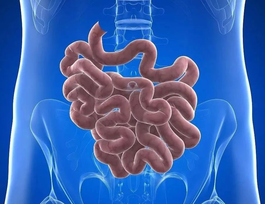 颈肩病的根治之法 ：不是正骨，而是升阳-小辉娱乐网