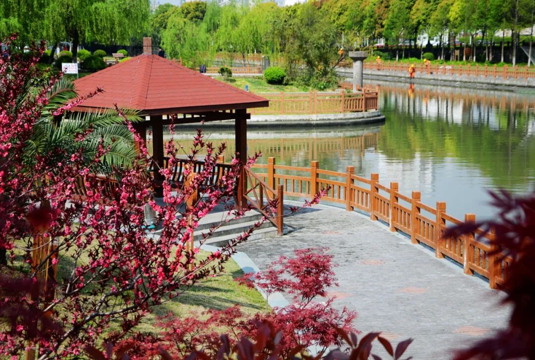 推窗见绿、开门见园,在“上海市园林街镇”生活是什么感受?-小辉娱乐网