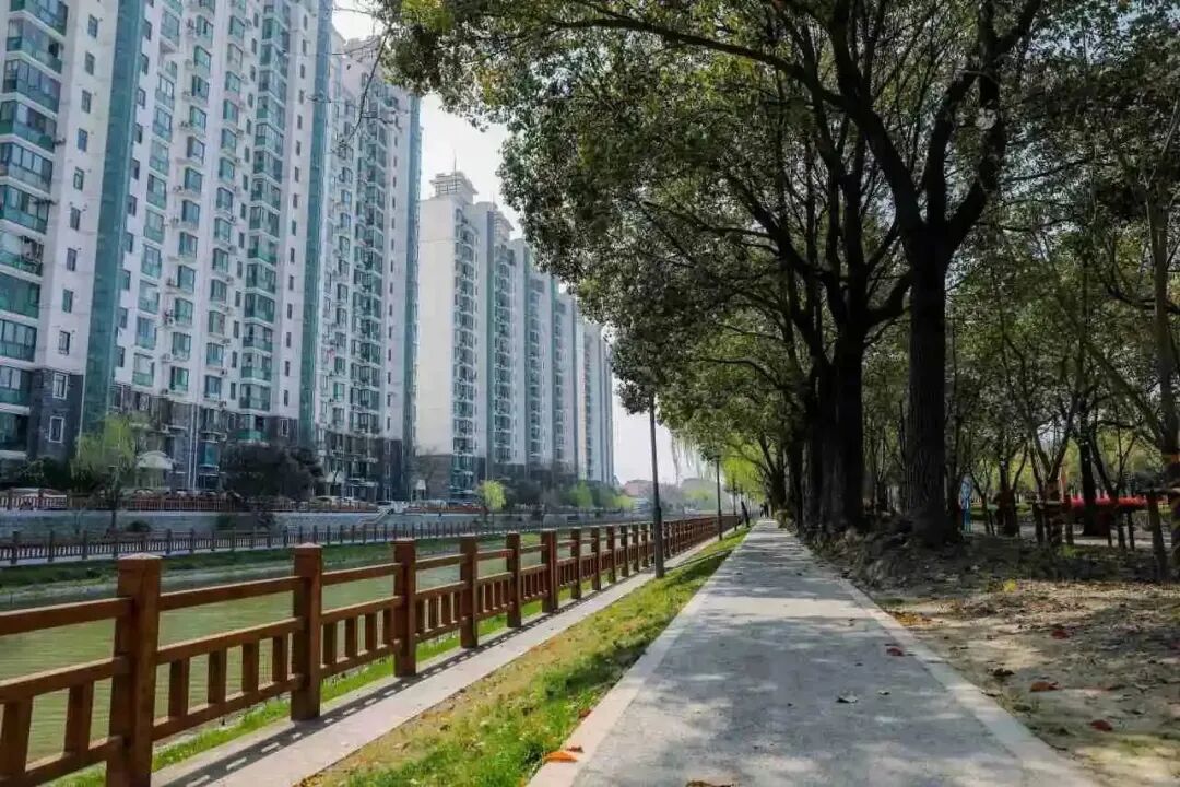 推窗见绿、开门见园,在“上海市园林街镇”生活是什么感受?-小辉娱乐网