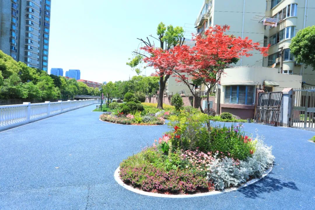 推窗见绿、开门见园,在“上海市园林街镇”生活是什么感受?-小辉娱乐网