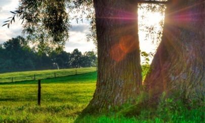 注意：阳气少了运气会变差