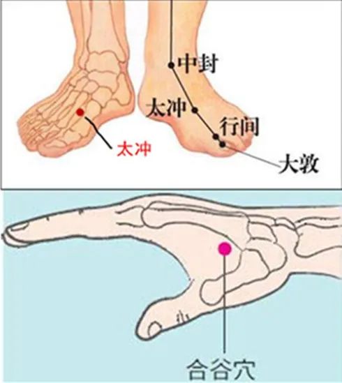 灸透四关，疏通气血，从头通到脚！-小辉娱乐网