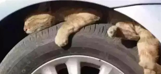 【两公布一提示】这份冬季雪天行车安全指南请查收！