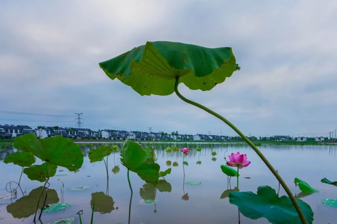 秋日来信｜光影下的涟水