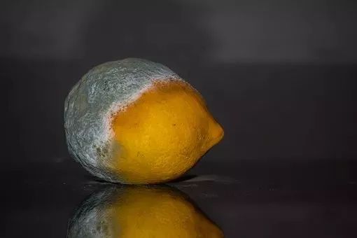 郭力话健康致癌物清单来了我们还能吃什么