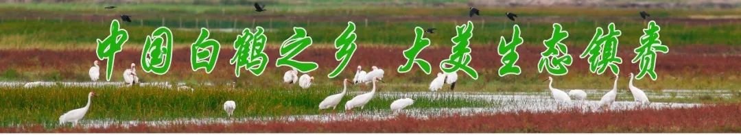 无边好景 今朝更新——吉林省打造万亿级旅游产业综述-小辉娱乐网