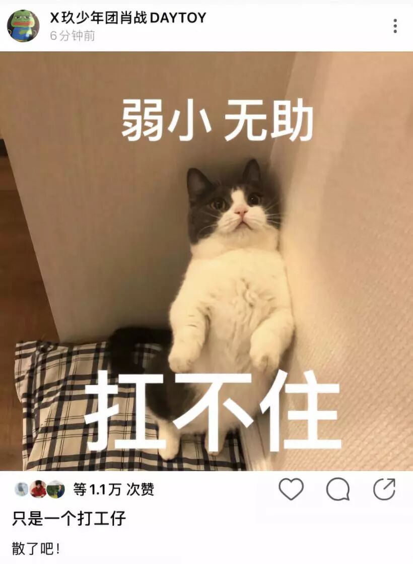 这大概是她人生中最丑的一天