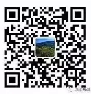 期待夺牌！宁夏运动员何杰明日清晨7时出战亚运会男子马拉松决赛！-小辉娱乐网