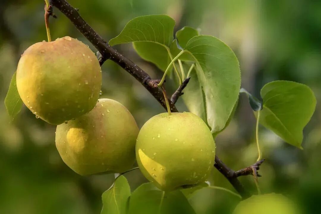 双节来一趟赏秋之行，感受高大尚平谷魅力！-小辉娱乐网