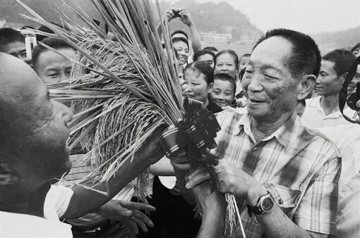 英语十级，排球王子，不爱出名有“偶像包袱”……他还是“杂交水稻之父”！-小辉娱乐网