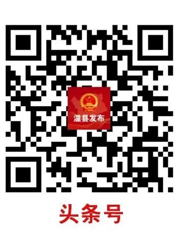 设施农业大有可为，下石井村农民特色种植结硕果！-小辉娱乐网
