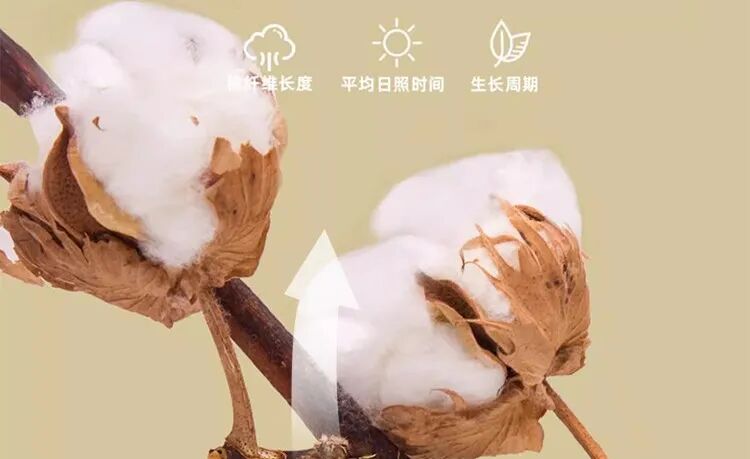 39/套，团过上千件，A类纯棉儿童无骨家居服来咯，奶盖般软糯，太舒服了-小辉娱乐网