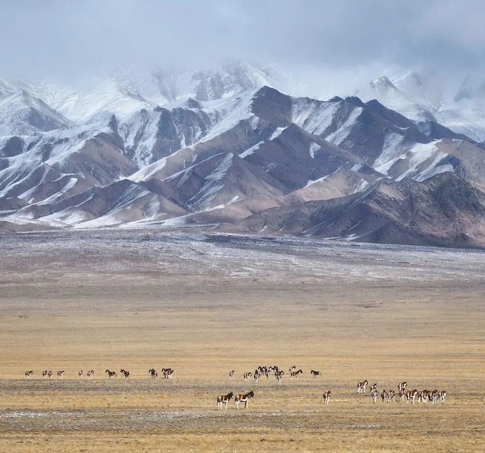 原始、纯净、壮美！阿尔金山的秋日“屏保” | 每日影像-小辉娱乐网