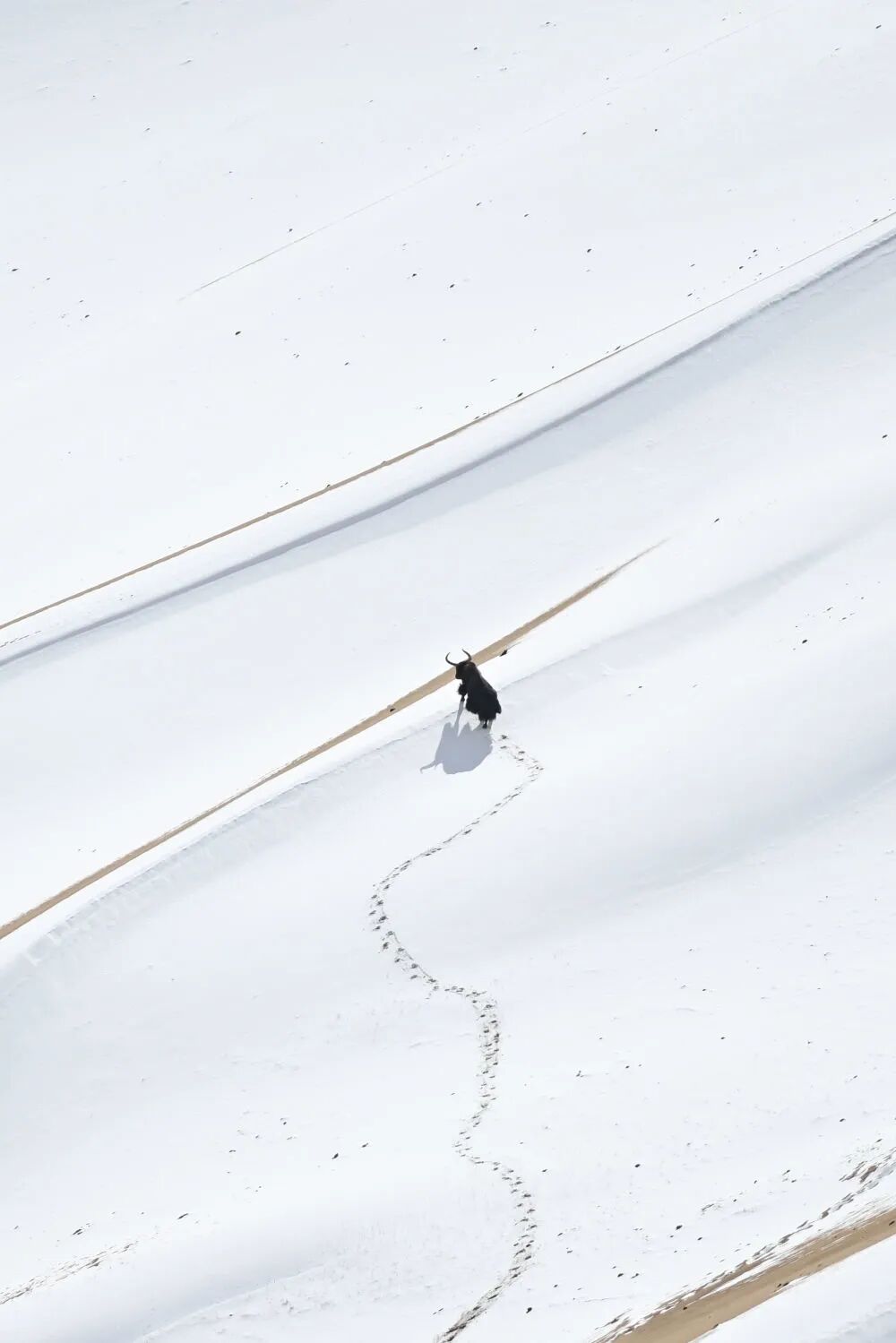 原始、纯净、壮美！阿尔金山的秋日“屏保” | 每日影像-小辉娱乐网