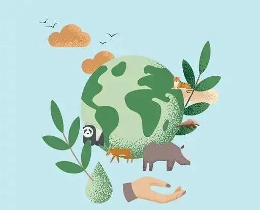 【生态环保】关于生态环保，你需要了解的知识-小辉娱乐网