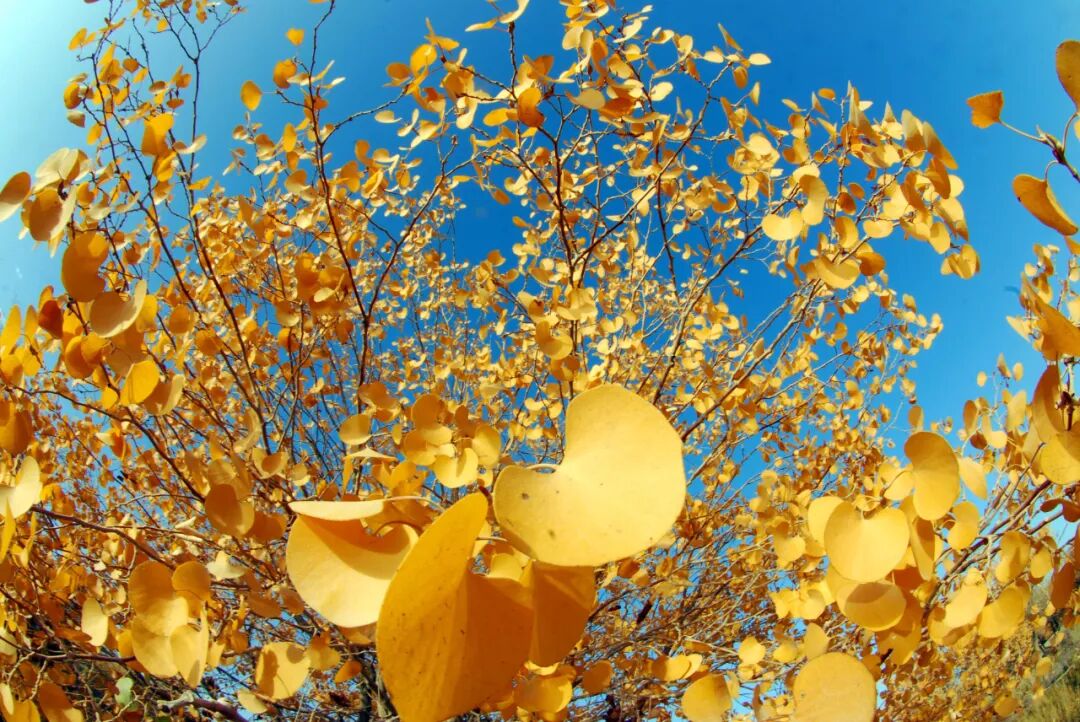 【夜读】助你成功的4个好建议