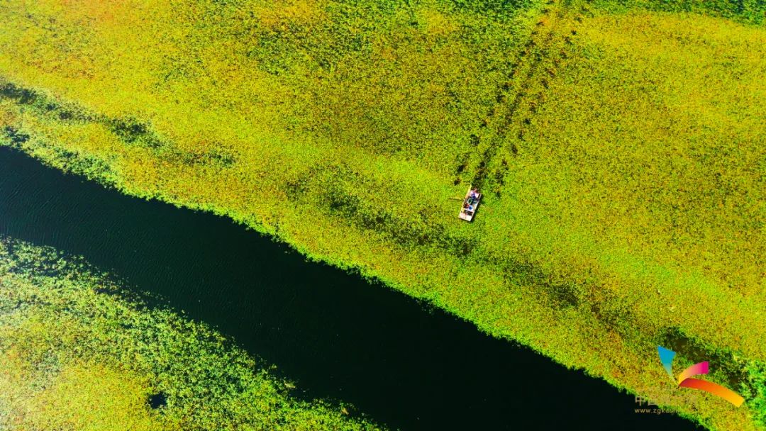 【夜读】助你成功的4个好建议-小辉娱乐网