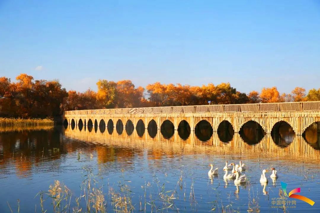 【夜读】助你成功的4个好建议-小辉娱乐网