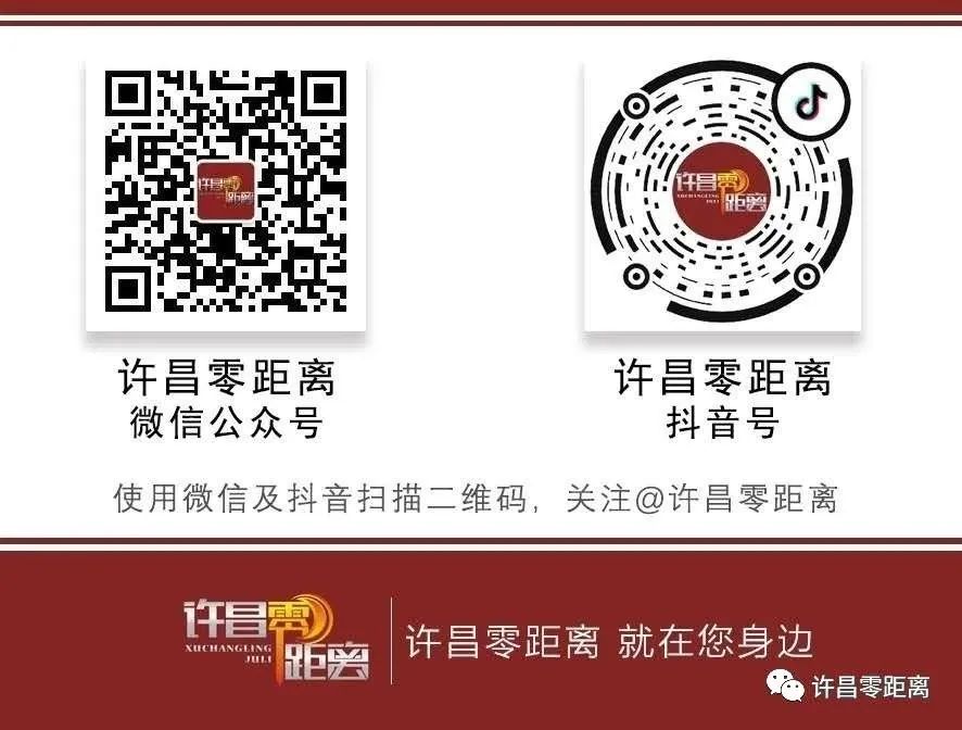 许昌市养犬人注意了！-小辉娱乐网