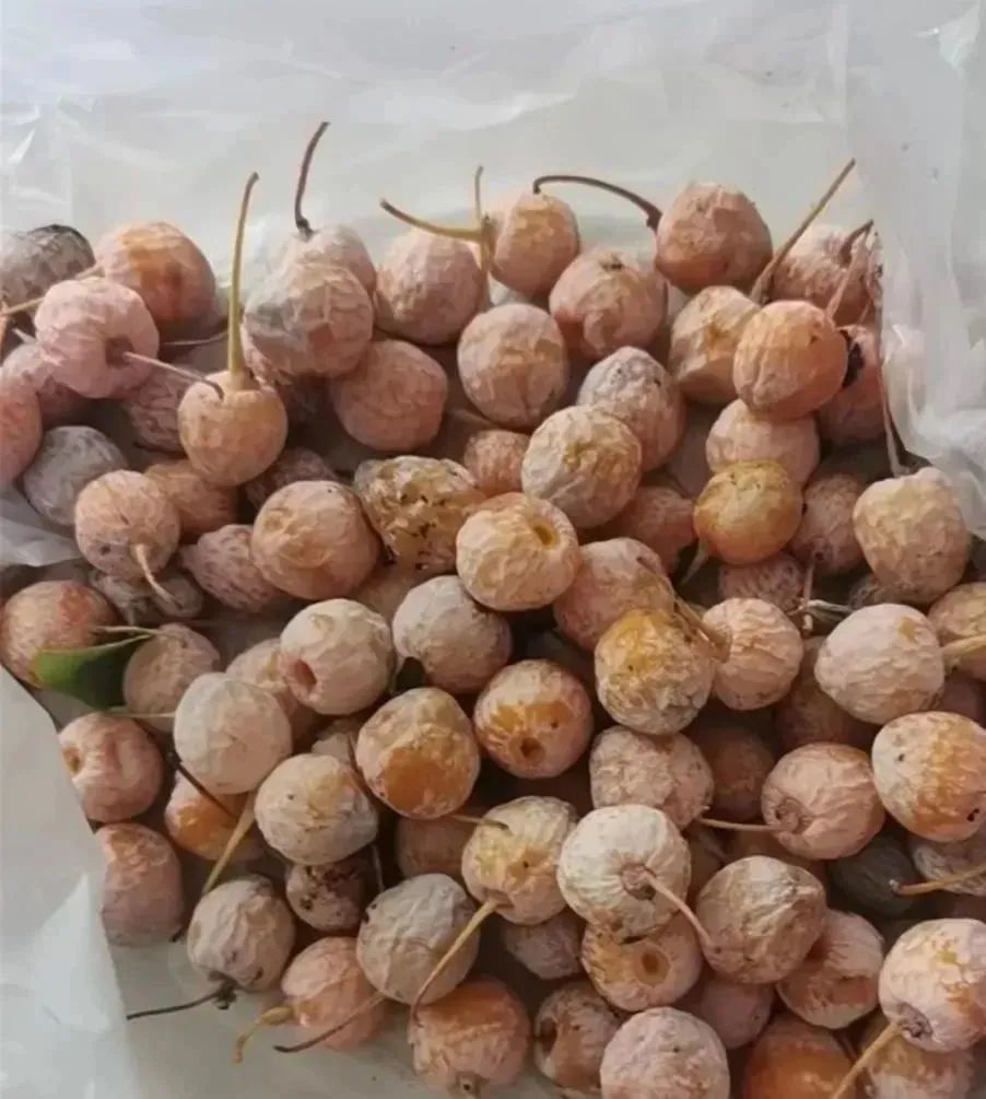 街头大量出现！千万别乱碰、乱吃！-小辉娱乐网