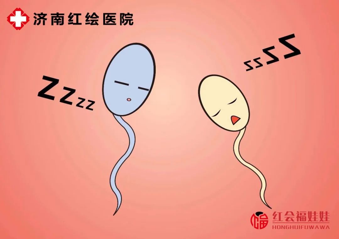 夏季备孕是生男孩的概率高还是女孩的概率高