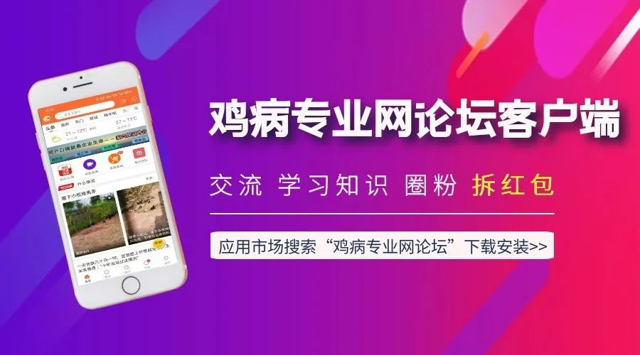 报价 | 10月24日肉鸡苗、毛鸡、种蛋、817、生猪价格行情 肉鸡苗价主稳局地下滑-小辉娱乐网