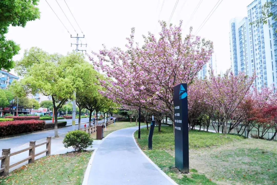 推窗见绿、开门见园,在“上海市园林街镇”生活是什么感受?-小辉娱乐网