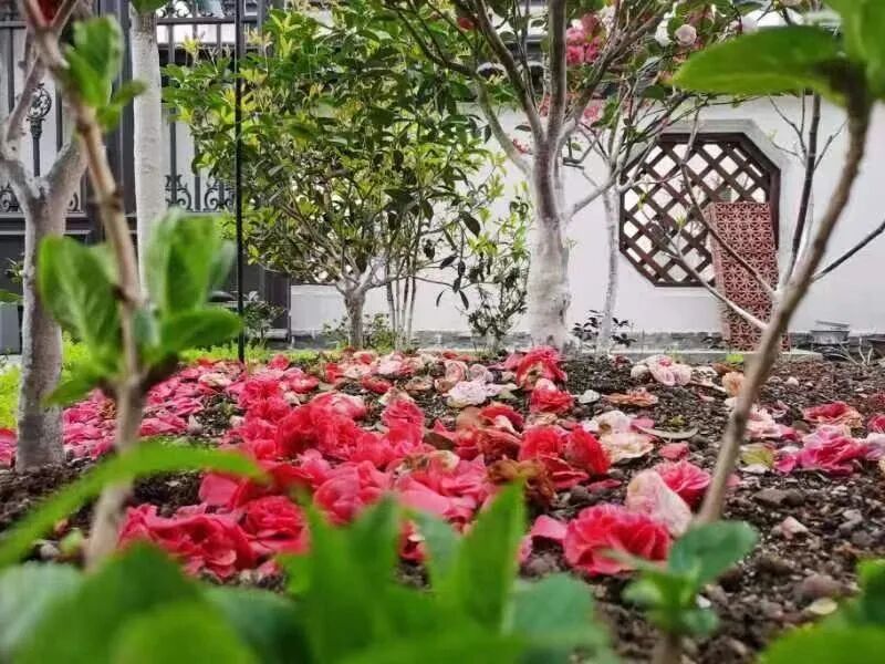 满分！-小辉娱乐网