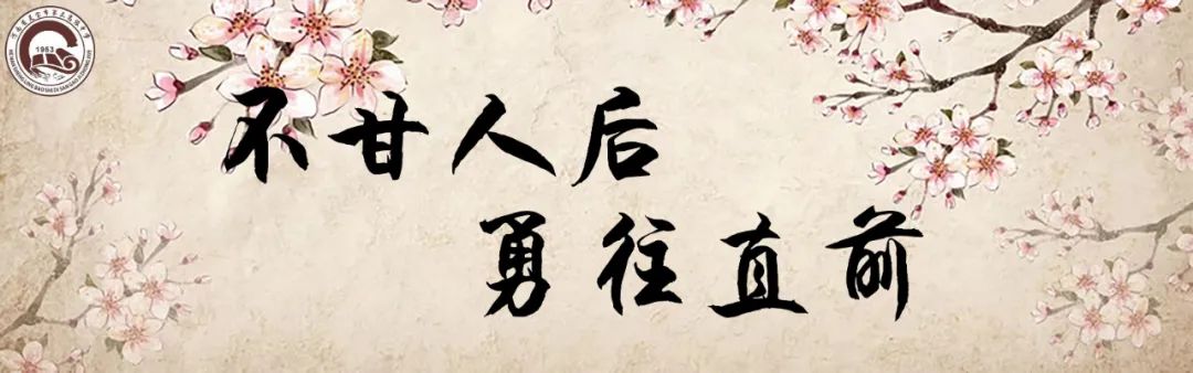 【灵宝三高】缤纷社团展风采 魅力校园谱华章-小辉娱乐网