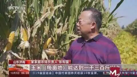 济南长清！获央视点赞！-小辉娱乐网