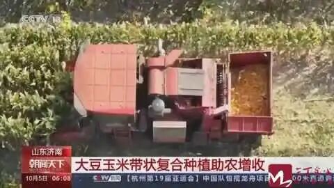 济南长清！获央视点赞！-小辉娱乐网