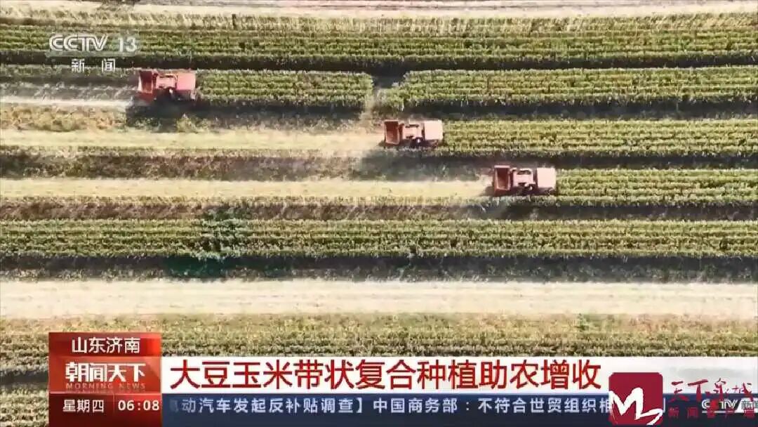 济南长清！获央视点赞！-小辉娱乐网