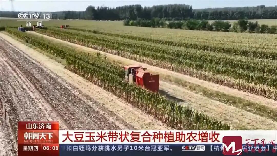 济南长清！获央视点赞！-小辉娱乐网