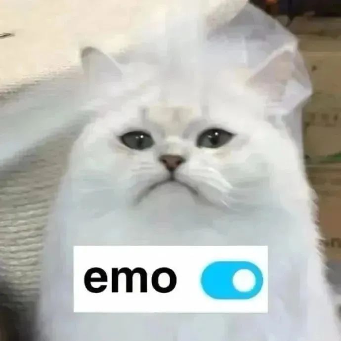 “脆皮大学生”走红：“我伸个懒腰，脖子扭了……”-小辉娱乐网