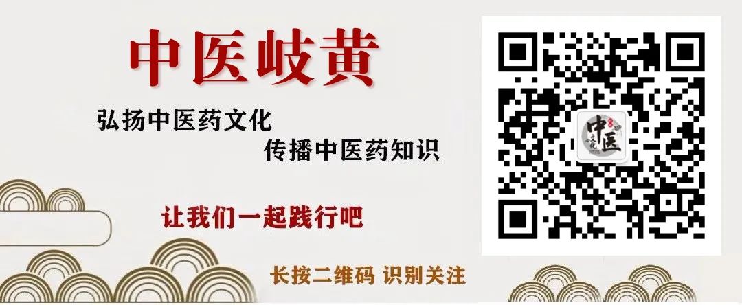 一味能“穿透”的中药,能通脉,宣肺,利关节腰腿!-小辉娱乐网