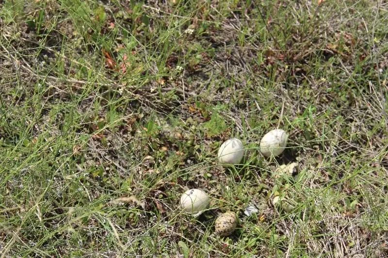 检察情，致初心！今天祝福祖国！-小辉娱乐网