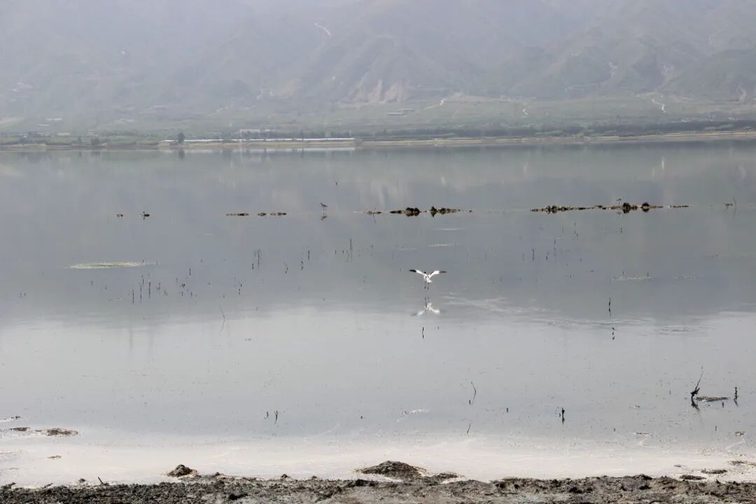 检察情，致初心！今天祝福祖国！-小辉娱乐网
