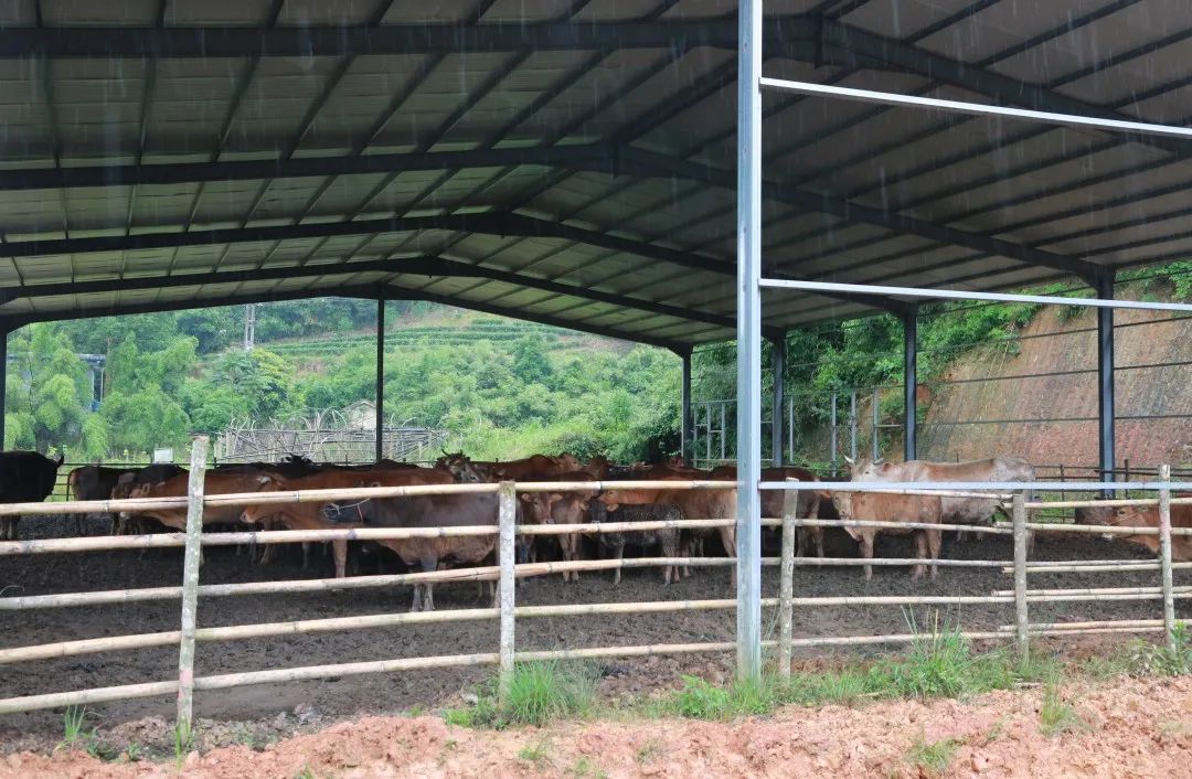 检察情，致初心！今天祝福祖国！-小辉娱乐网