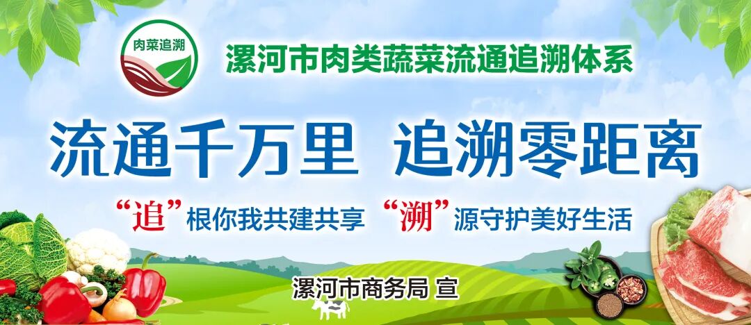 漯河：最新任免！丨中雪！大雪丨19日开始丨通过评审-小辉娱乐网