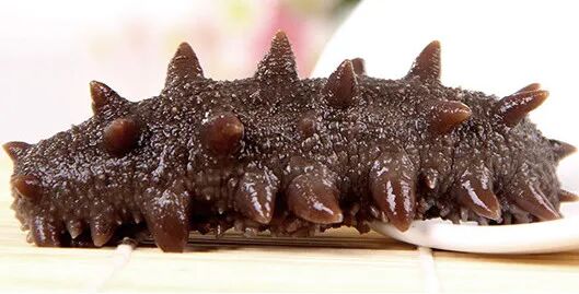 冷空气抵达，是时候“贴秋膘”了→“贴秋膘”有讲究！海参滋补最营养！-小辉娱乐网