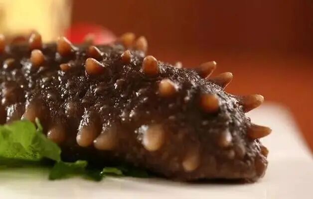 冷空气抵达，是时候“贴秋膘”了→“贴秋膘”有讲究！海参滋补最营养！-小辉娱乐网