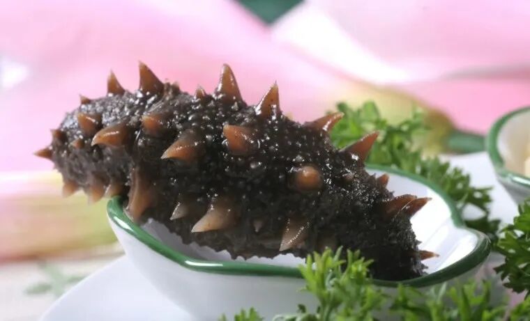 冷空气抵达，是时候“贴秋膘”了→“贴秋膘”有讲究！海参滋补最营养！-小辉娱乐网