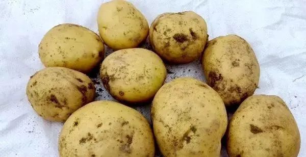 柳叶刀43万人研究：主食吃得少，寿命或减少！-小辉娱乐网